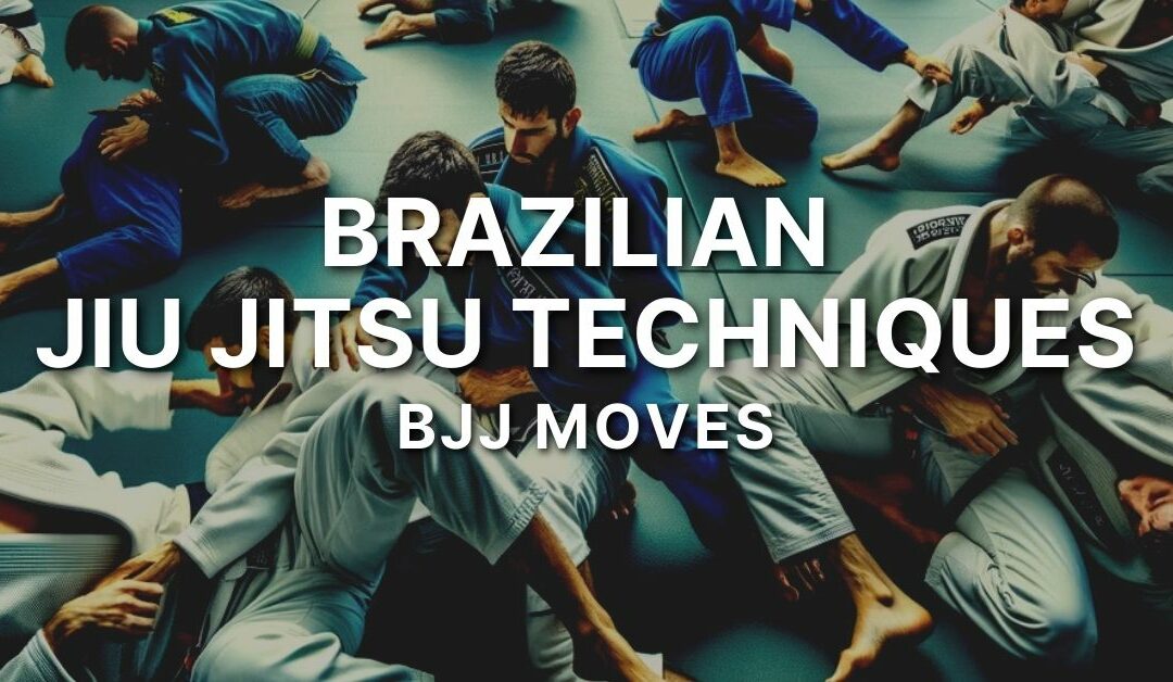Brazilian Jiu Jitsu BJJ Techniques